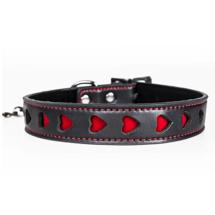 Deals β€οΈ Bondara Love Hurts 6 Piece Bondage Bundle π 3 Deals β€οΈ Bondara Love Hurts 6 Piece Bondage Bundle π - Image 2