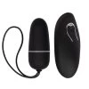 Brand new 🔥 Bondara Pleasure Hunt Black 12 Function Remote Control Love Egg 😉 -Adult Toys Shop unnamed file 387